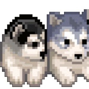 Meet your Posher, Bettina